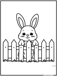Cute Bunny Coloring Pages