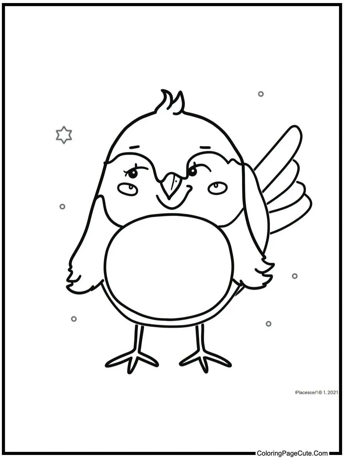 friendly little robin