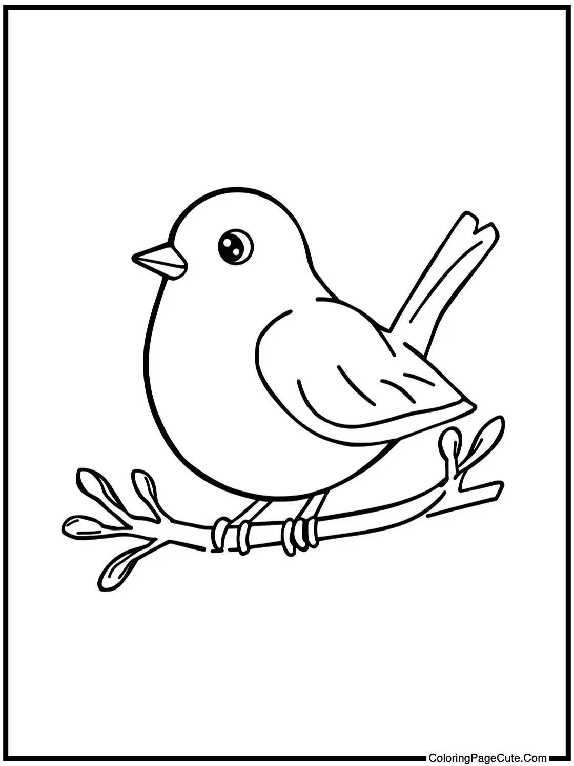 friendly little robin