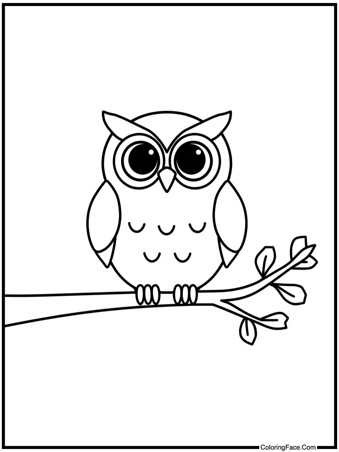 owl on branch