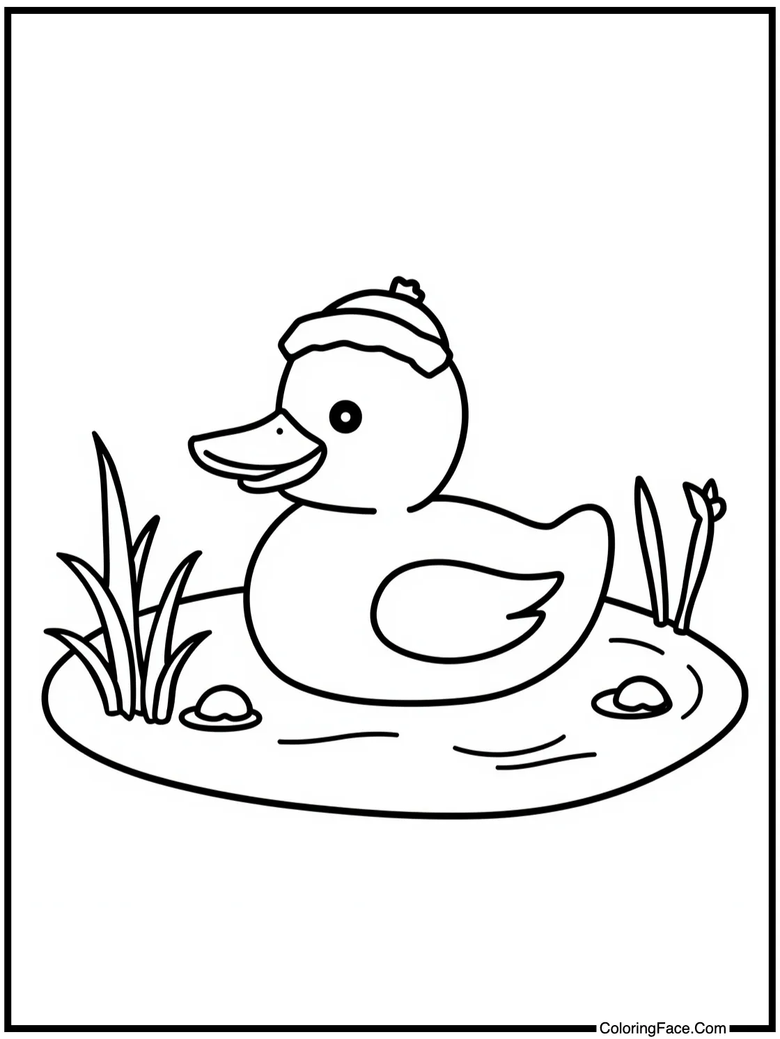 duck in pond