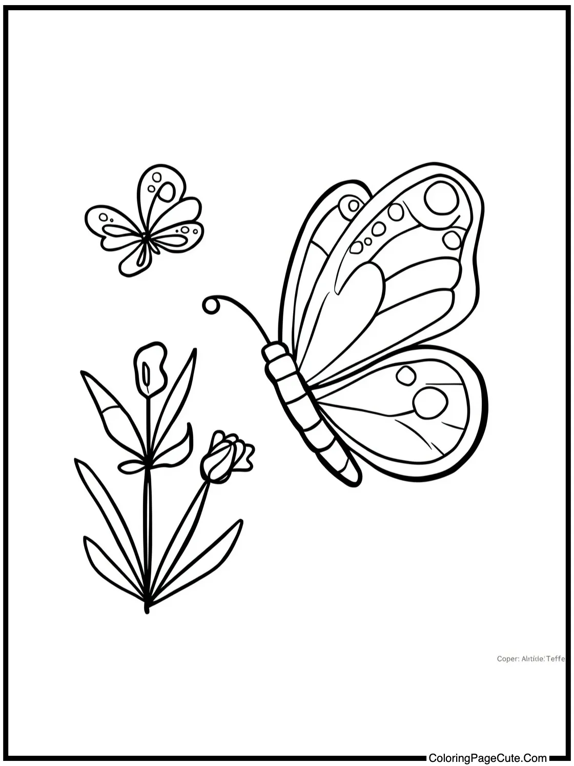 watching butterflies flutter