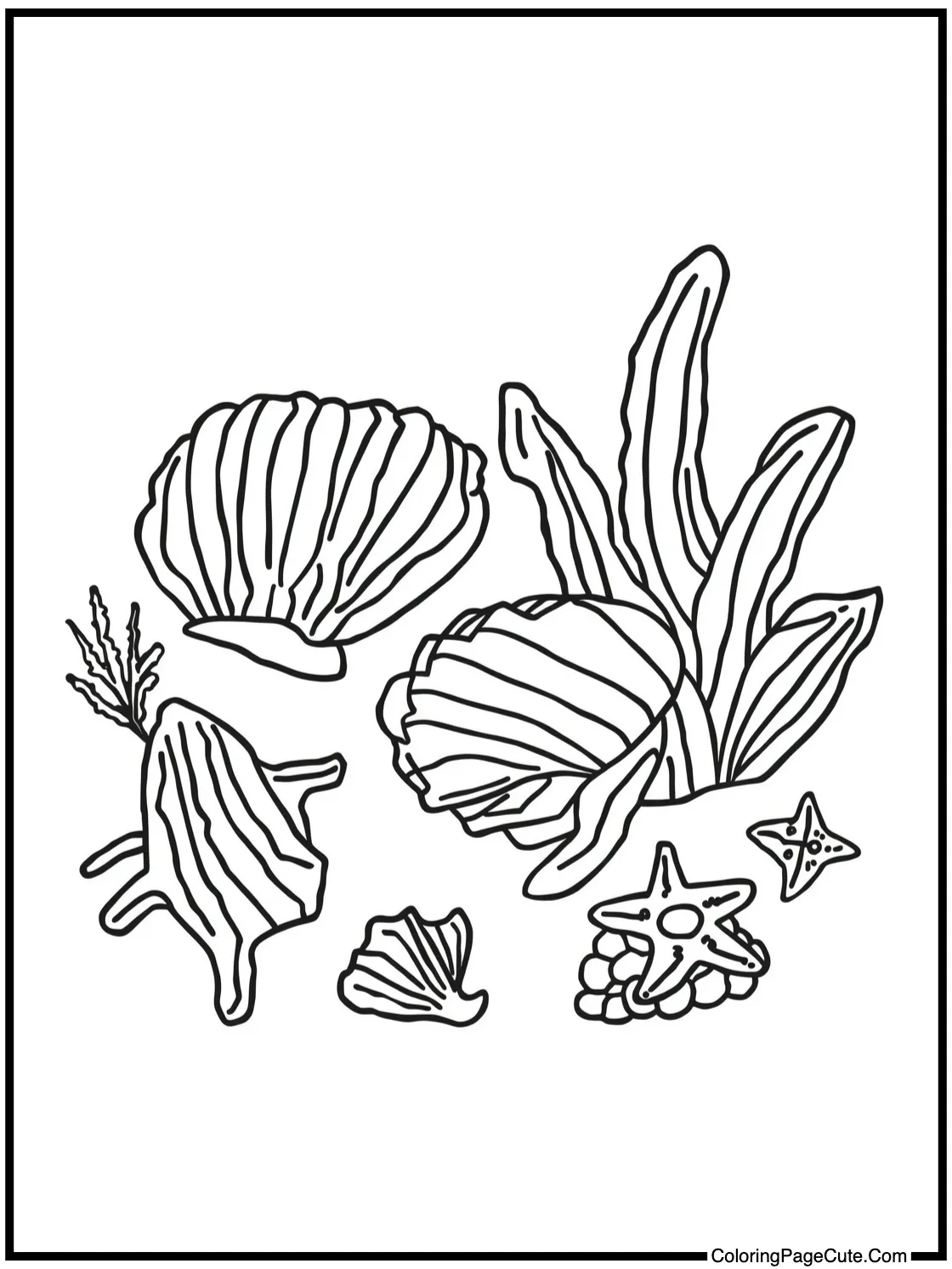 collecting seashells