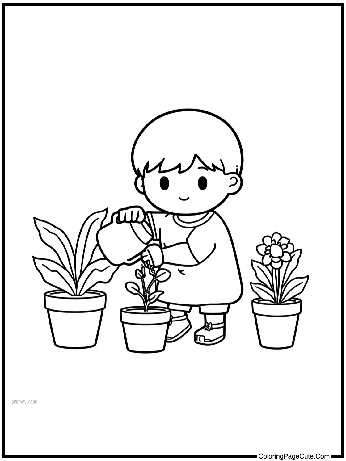 watering plants gently