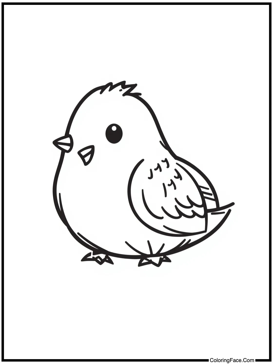 with a friendly hedgehog.