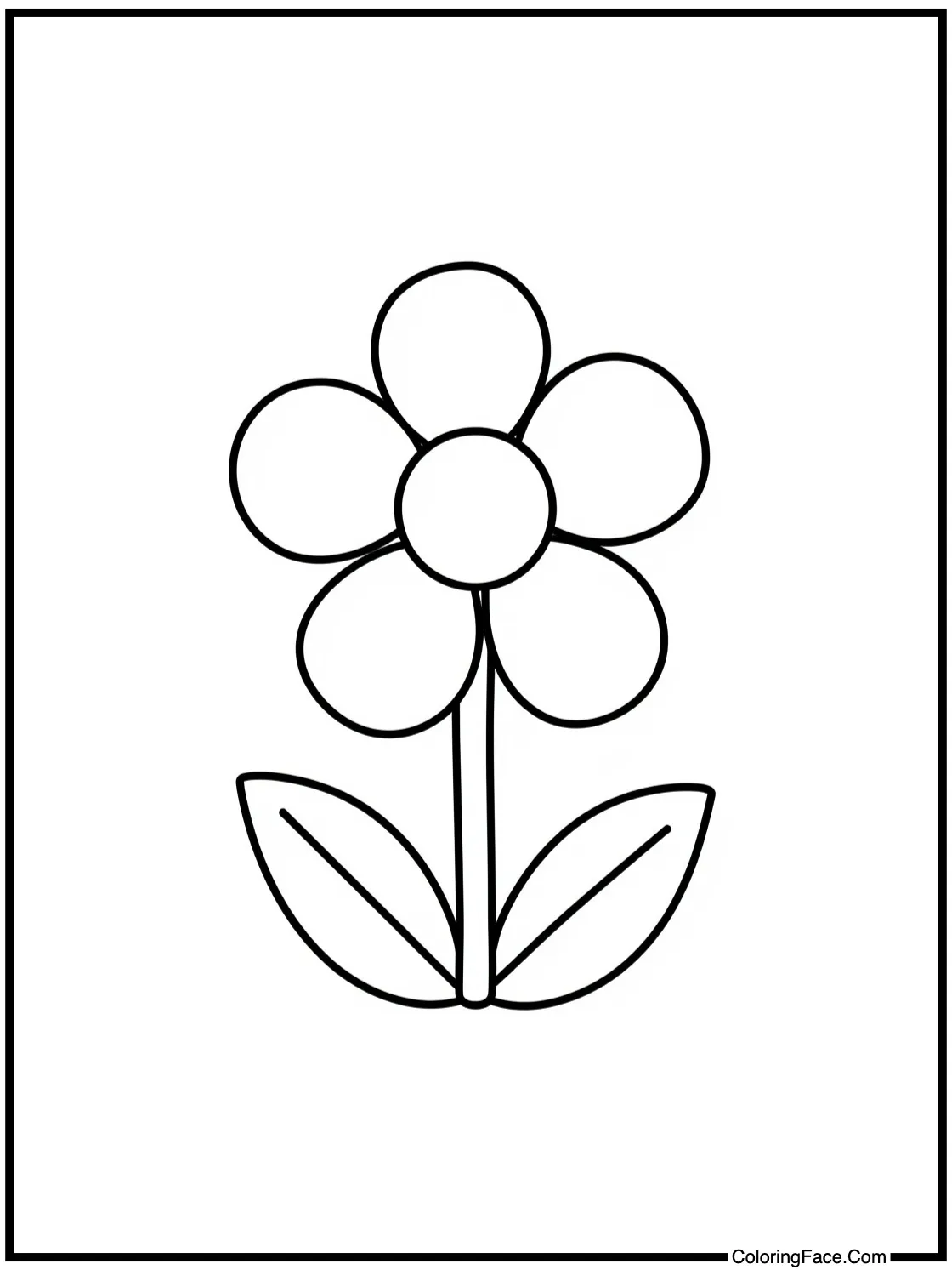 of a blossoming flower.