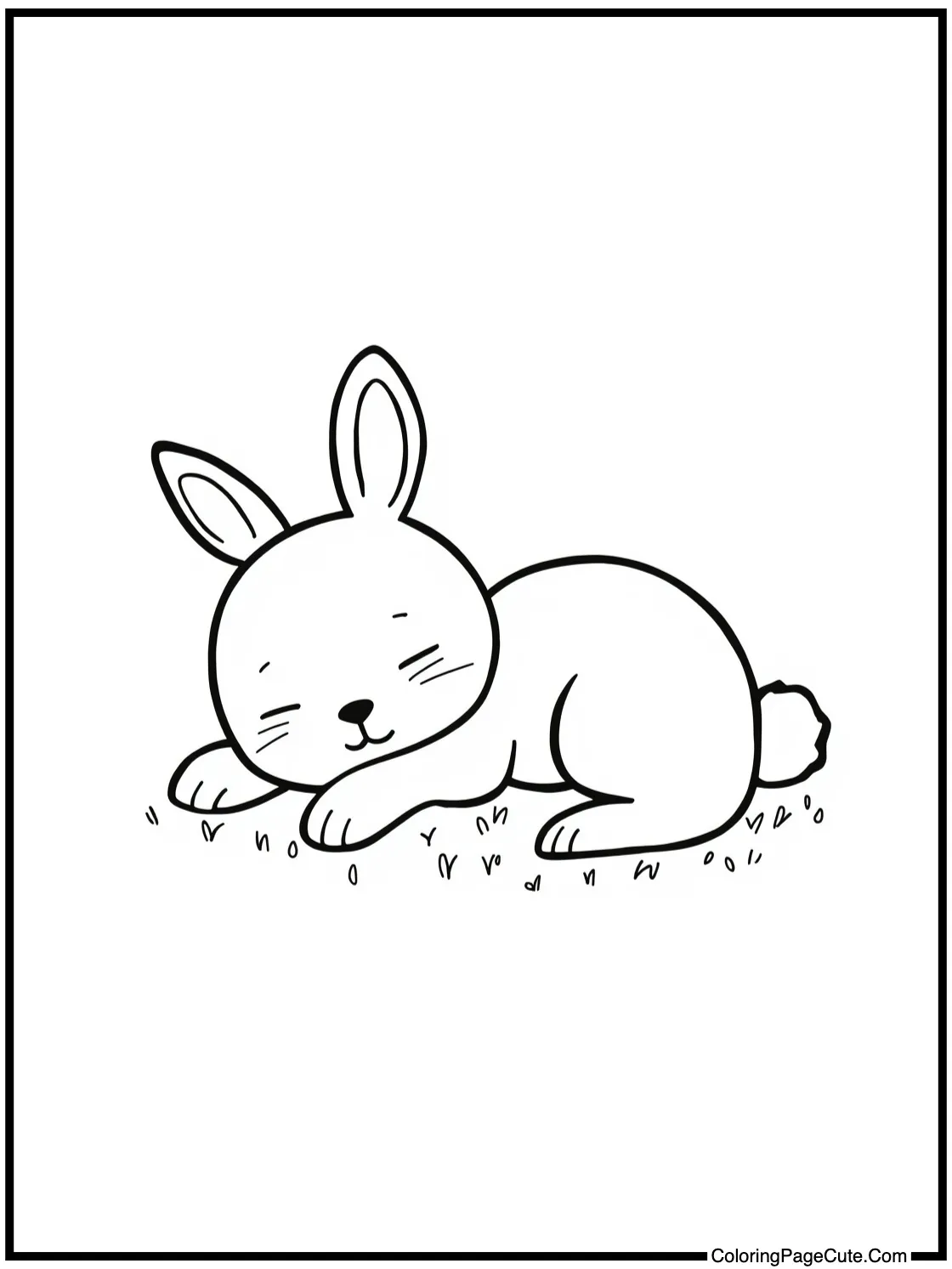 sleeping bunny