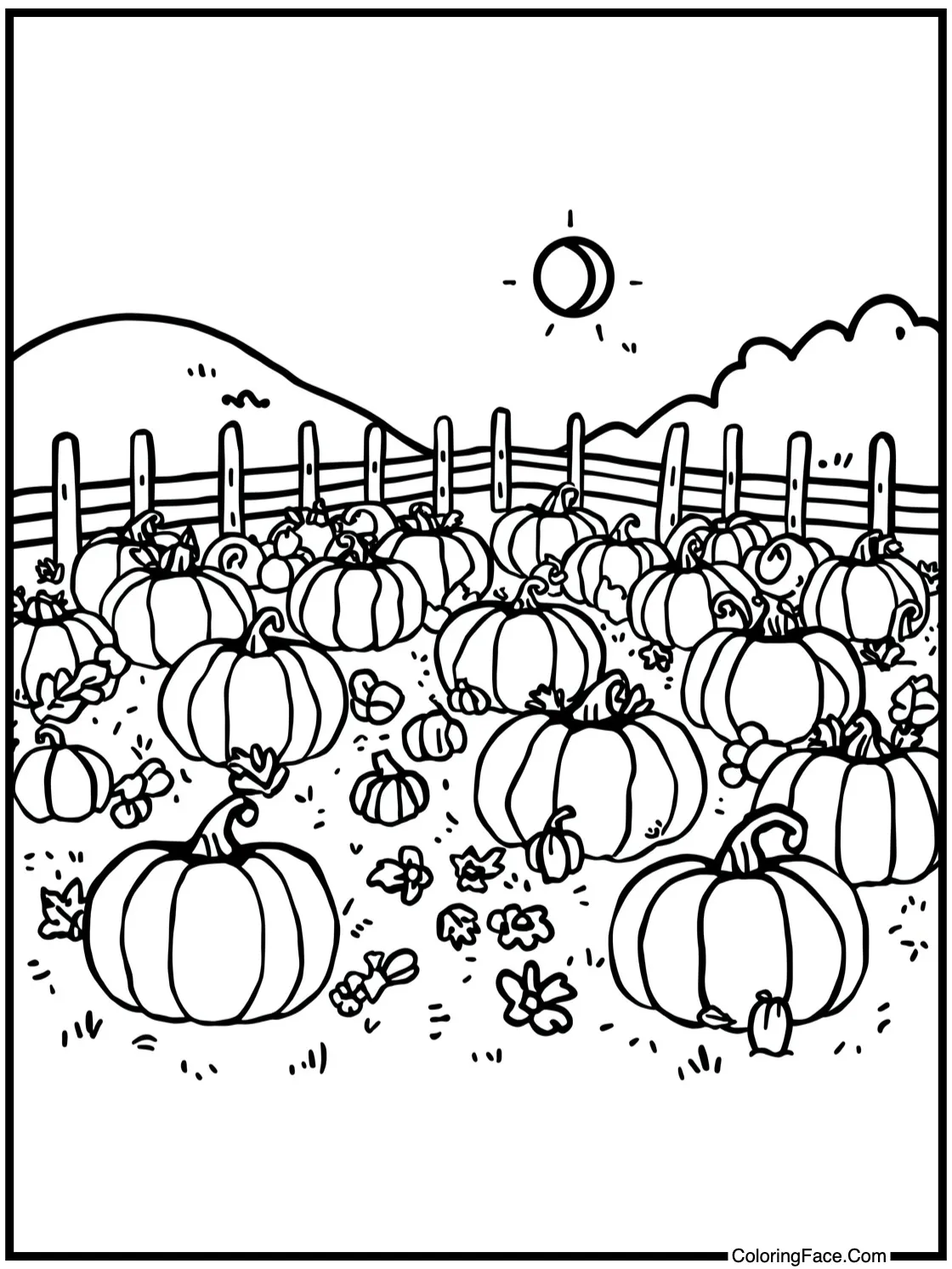 pumpkin patch scene