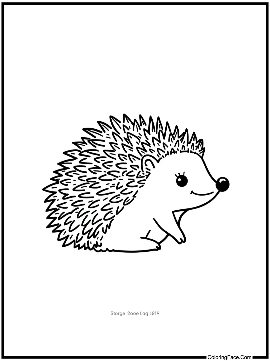 friendly hedgehog exploring
