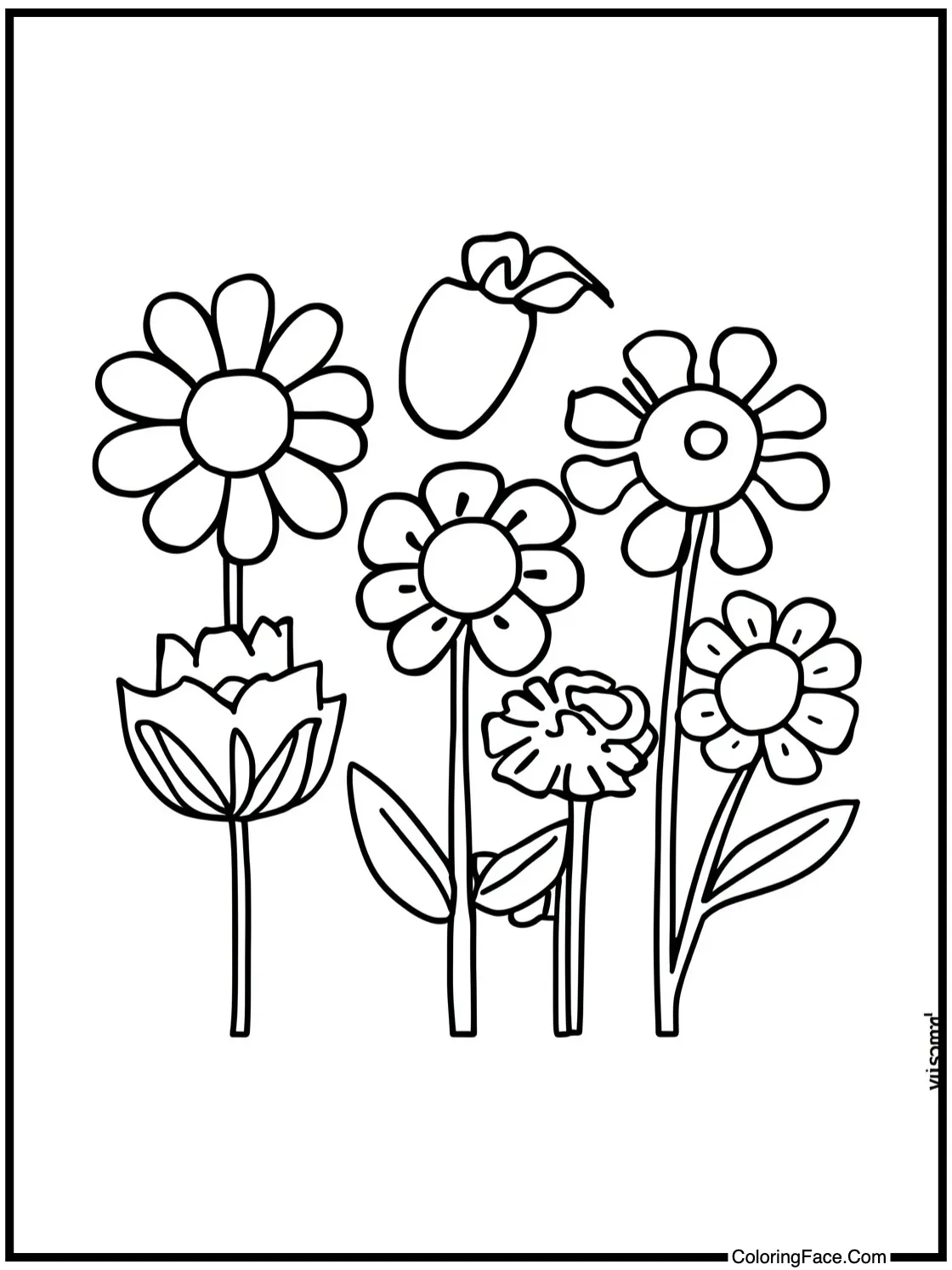 cheerful fall flowers