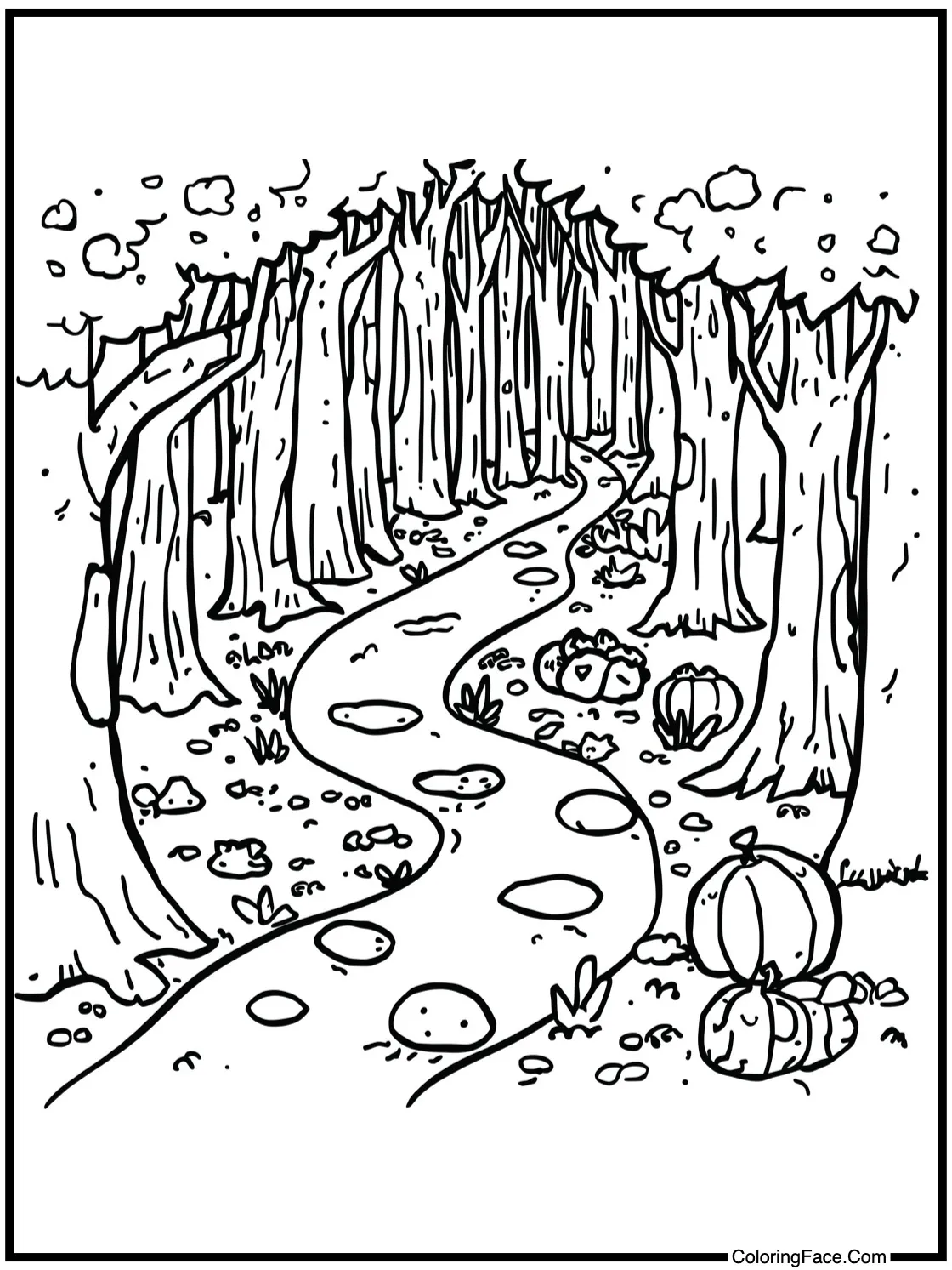 enchanting forest path