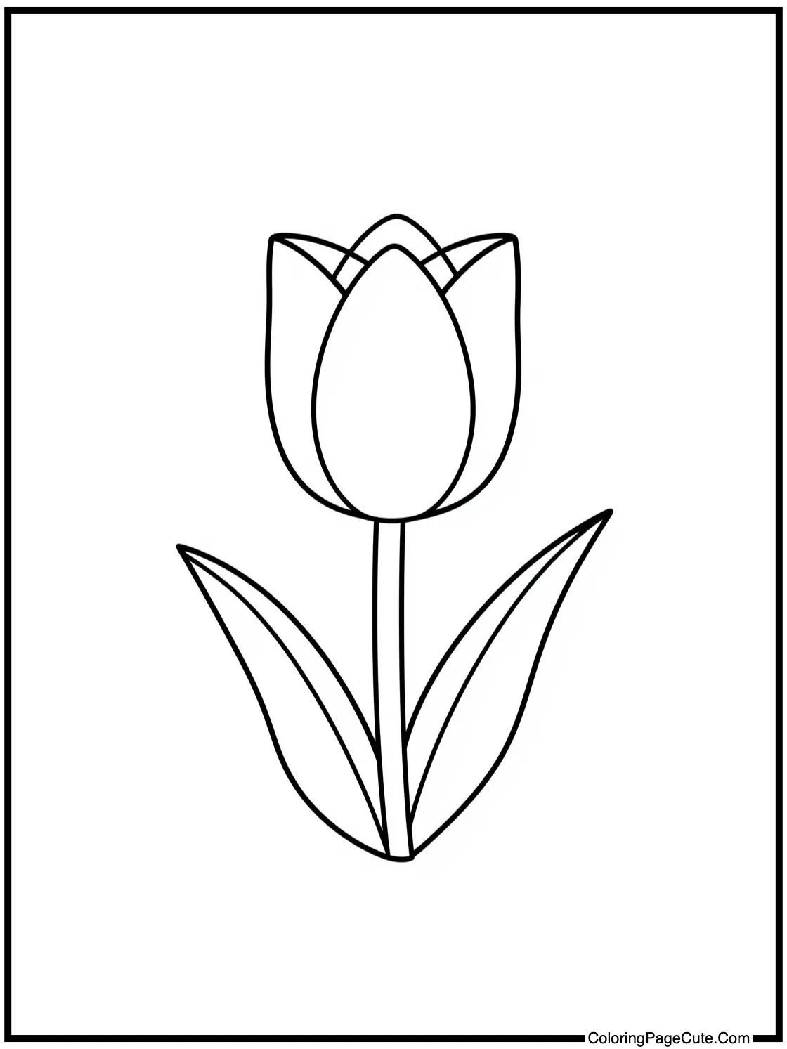 a tranquil tulip