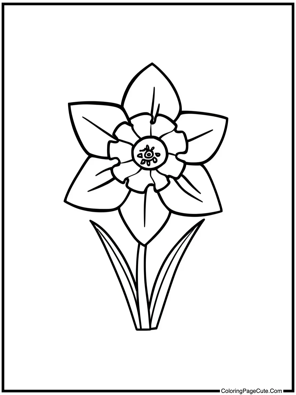 a delightful daffodil