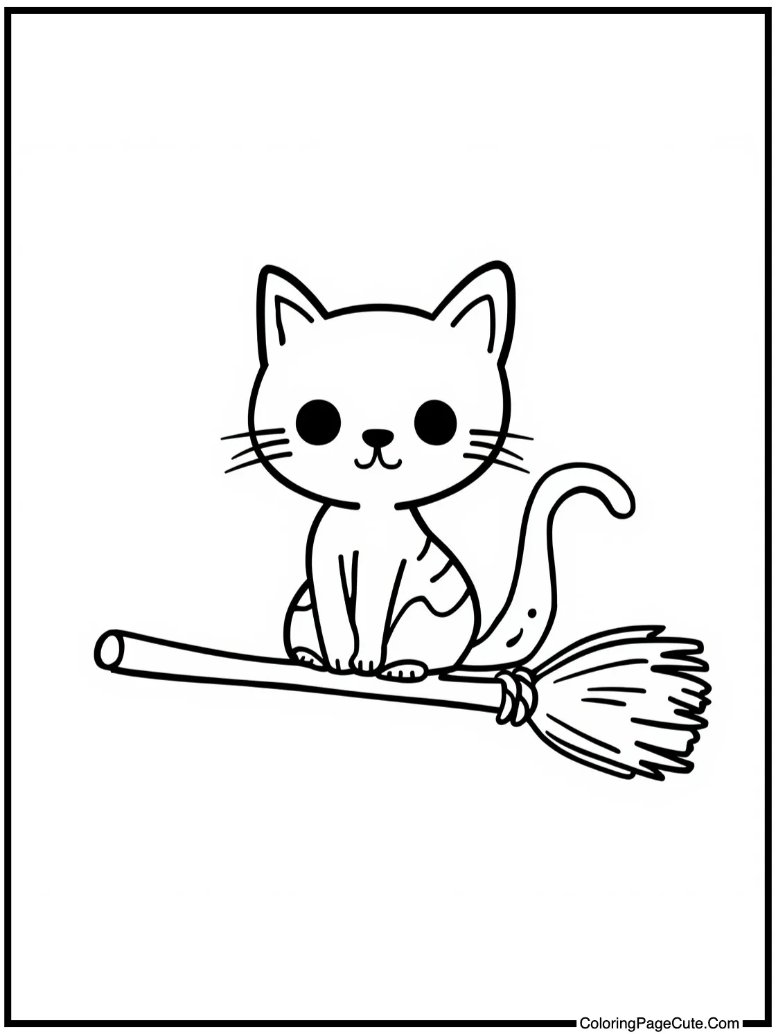 cat on broom
