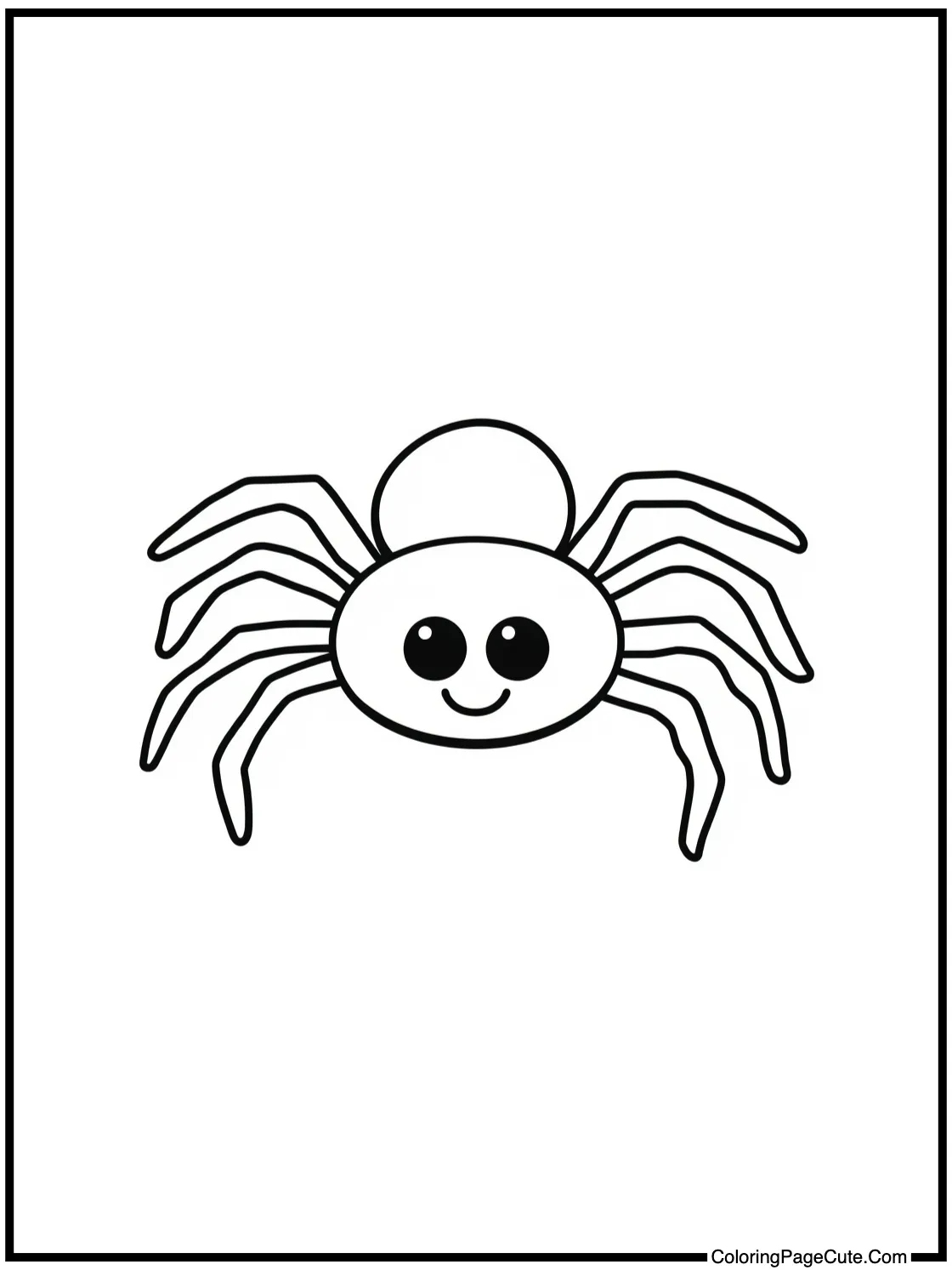 spider on candy