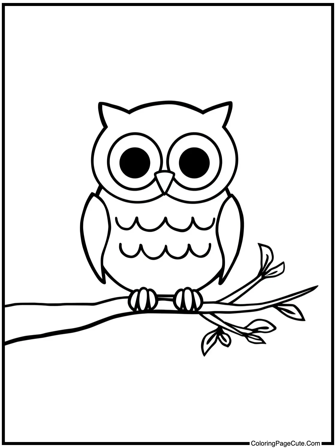 owl on branch
