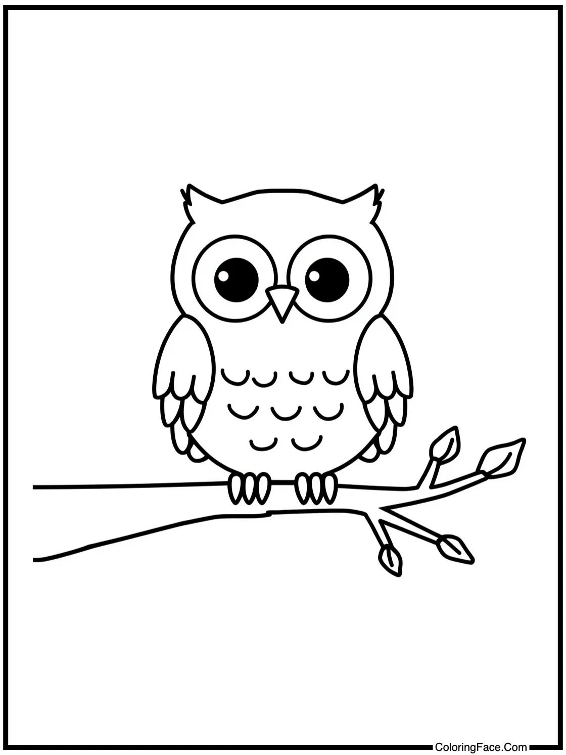 owl on a branch
