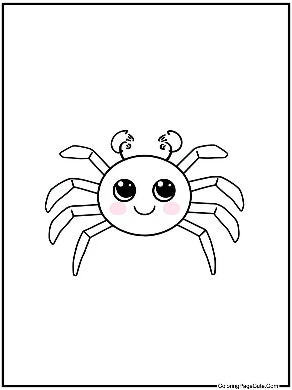 playful spider friend