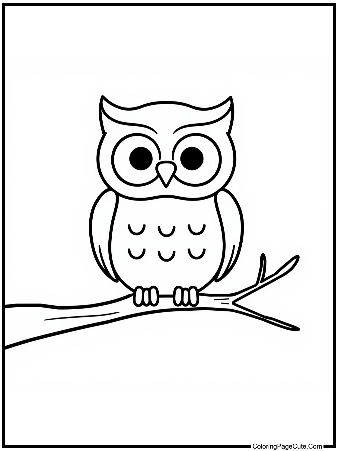 friendly owl perched