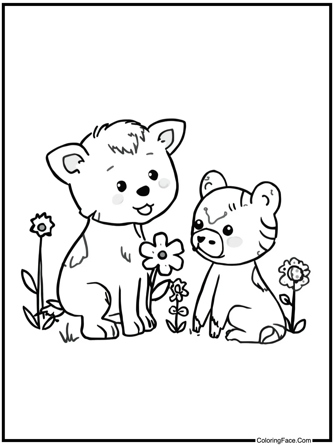 picking fresh flowers