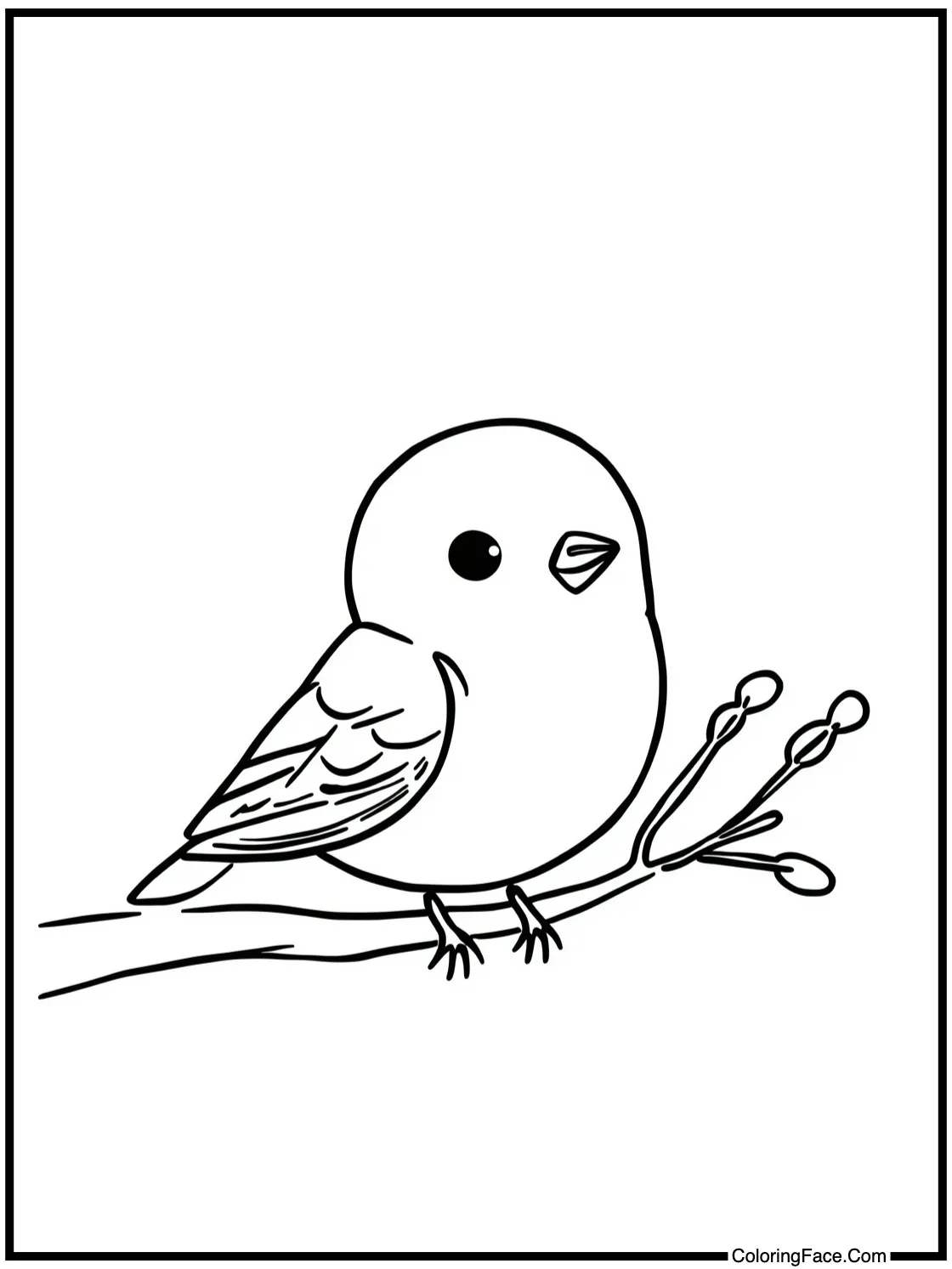 featuring a tiny bird