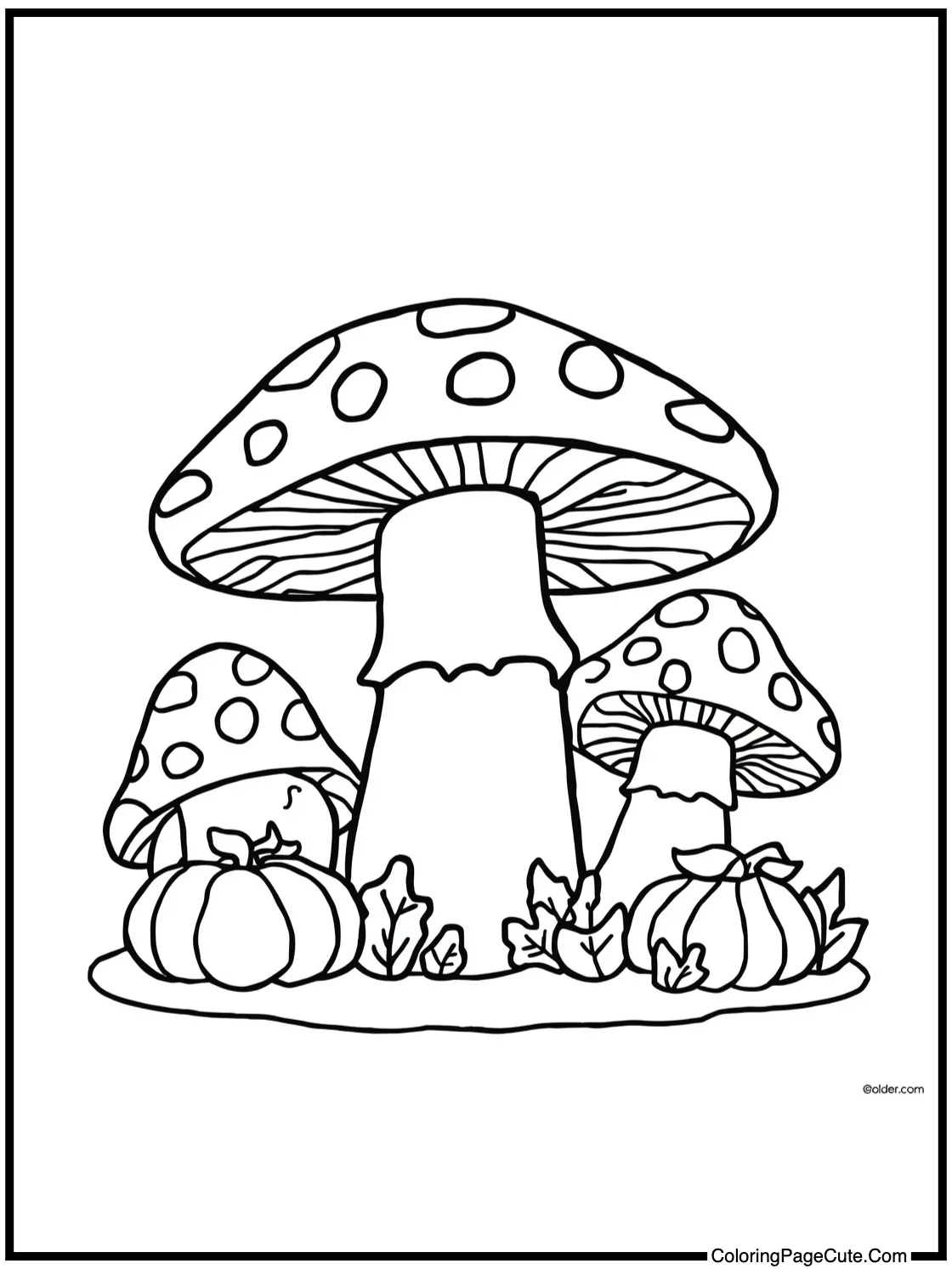 with mushroom friends