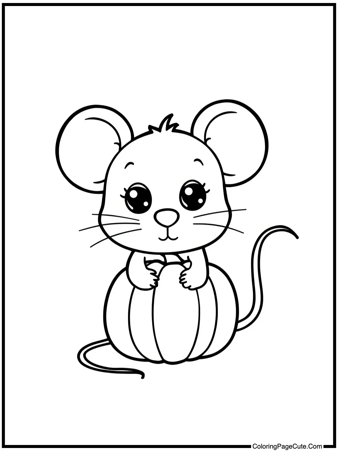 of a cute mouse