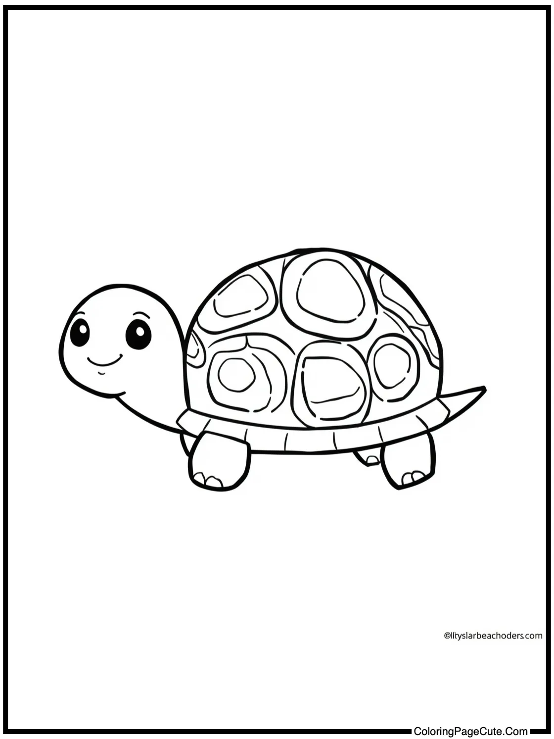 of a cute turtle