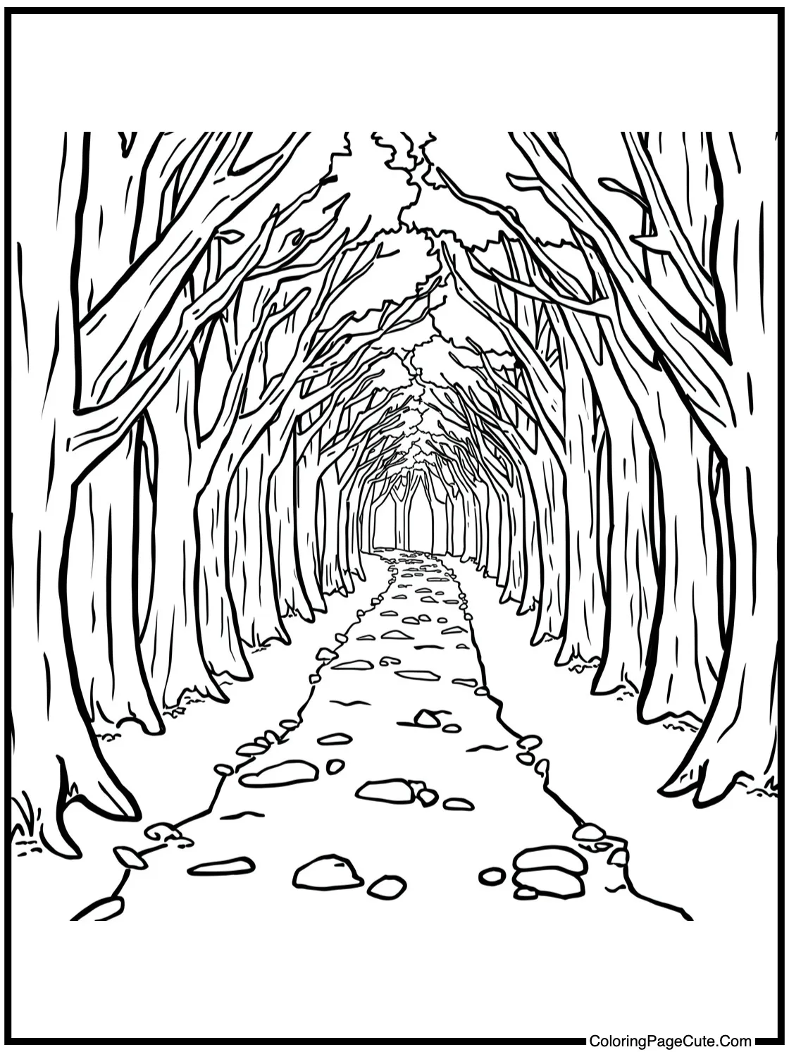 a serene forest path