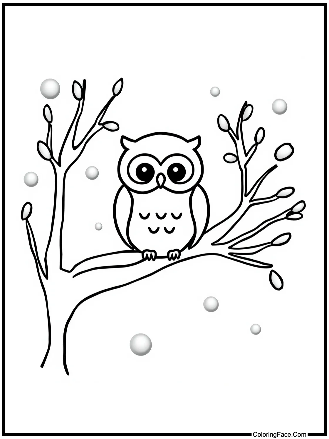 Owl in snowy tree.