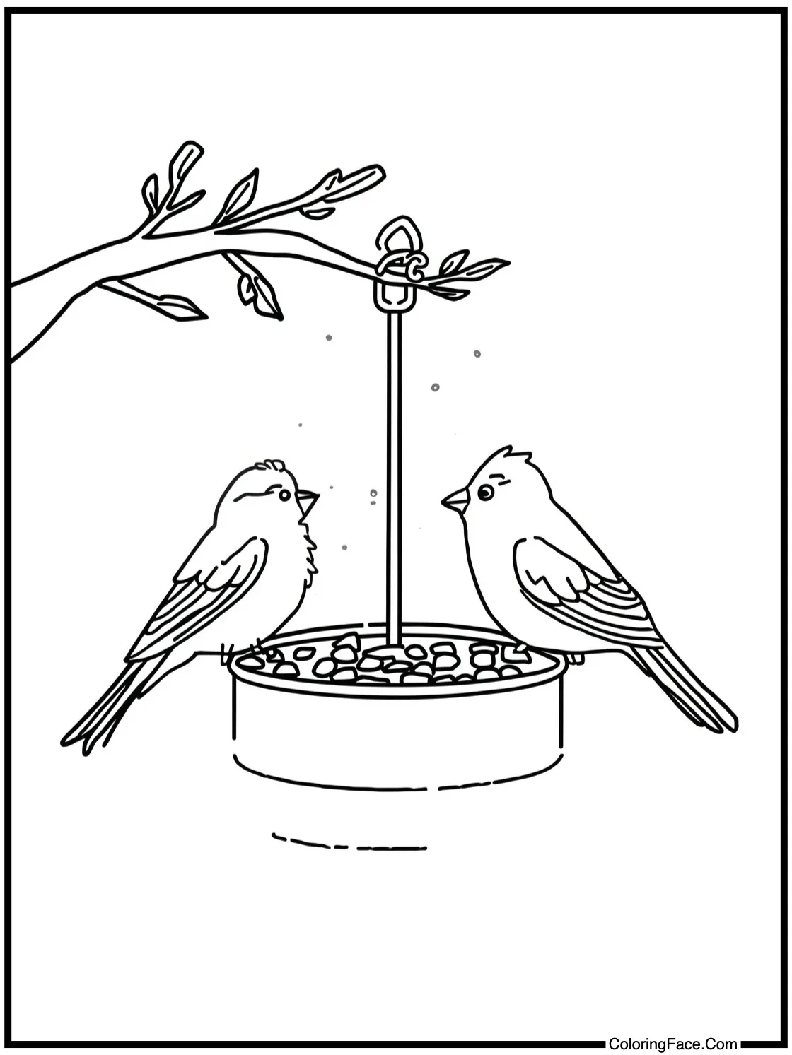 Birds on a feeder.