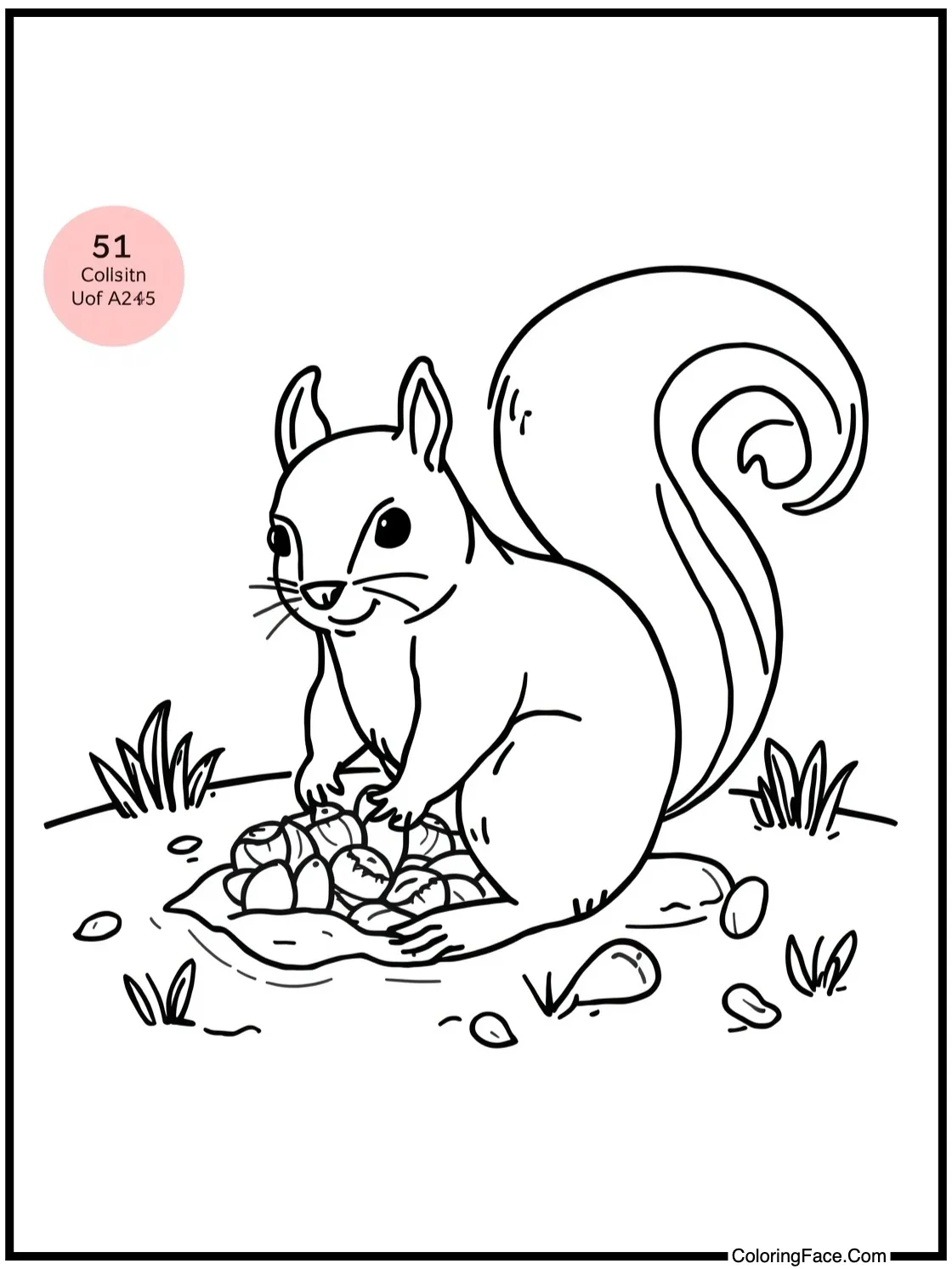 Squirrel burying nuts.