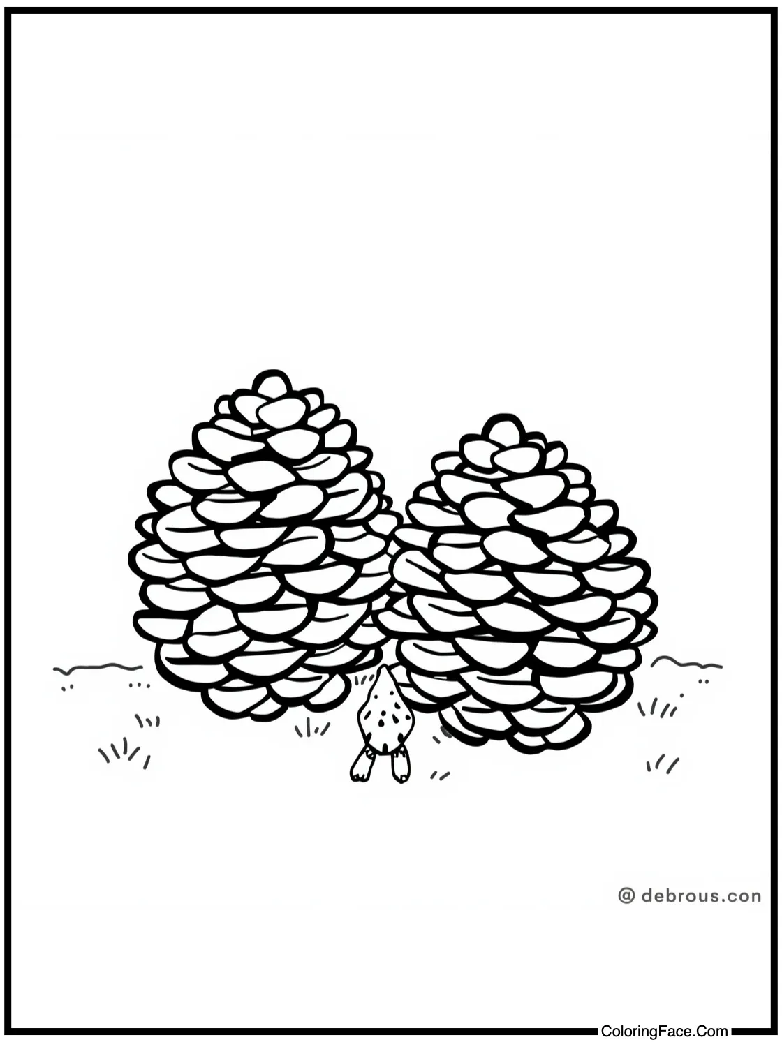 Gathering pinecones.