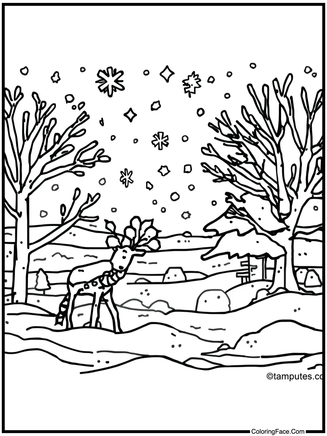 Sparkling winter wonder.