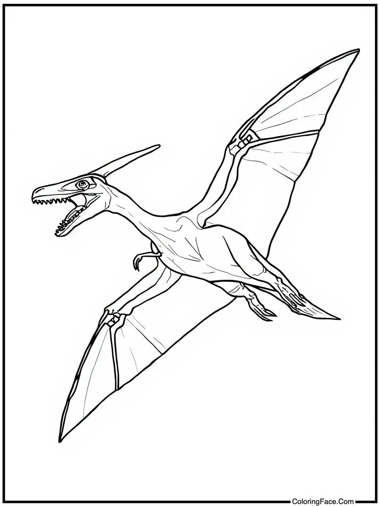 Pterodactyl flying in sky