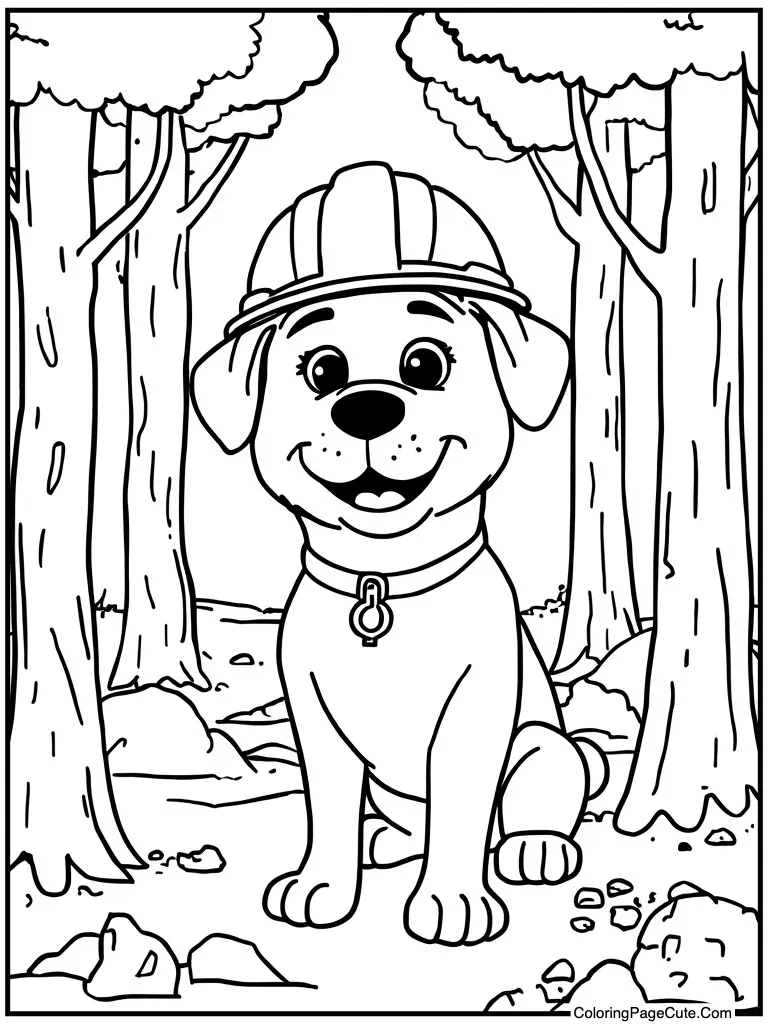 Construction worker hard hat