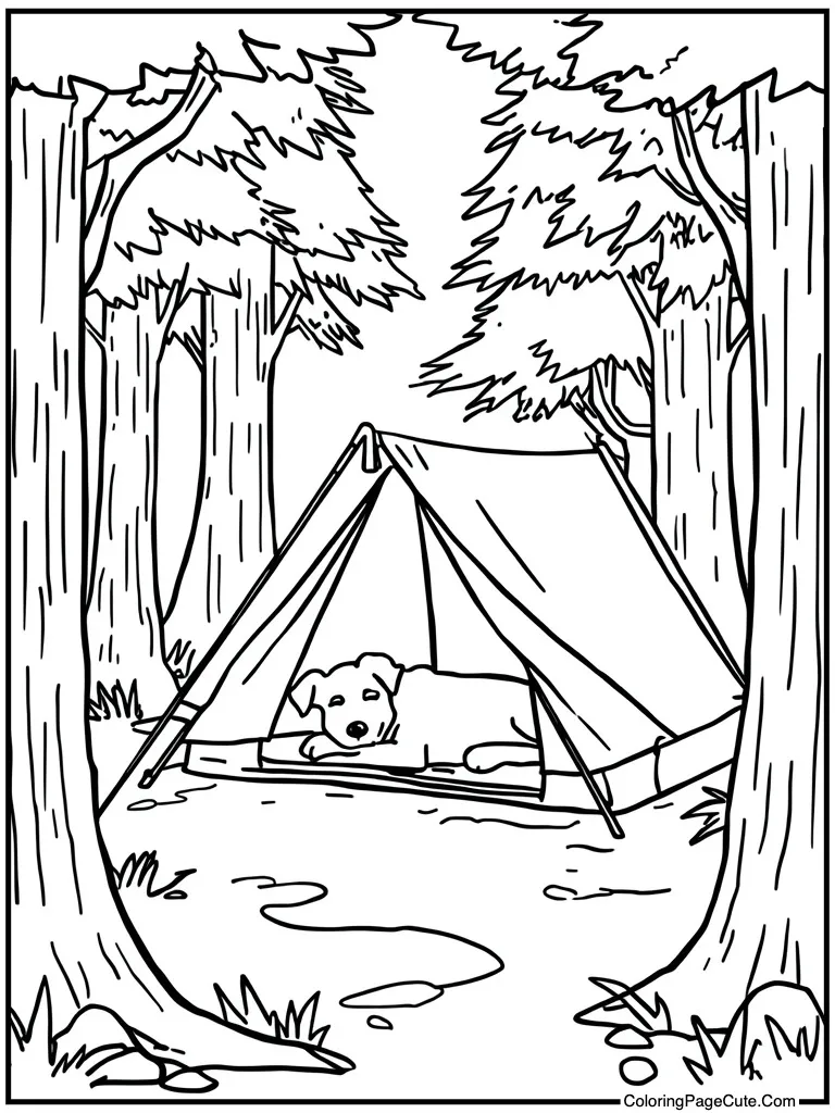 Camper sleeping in tent