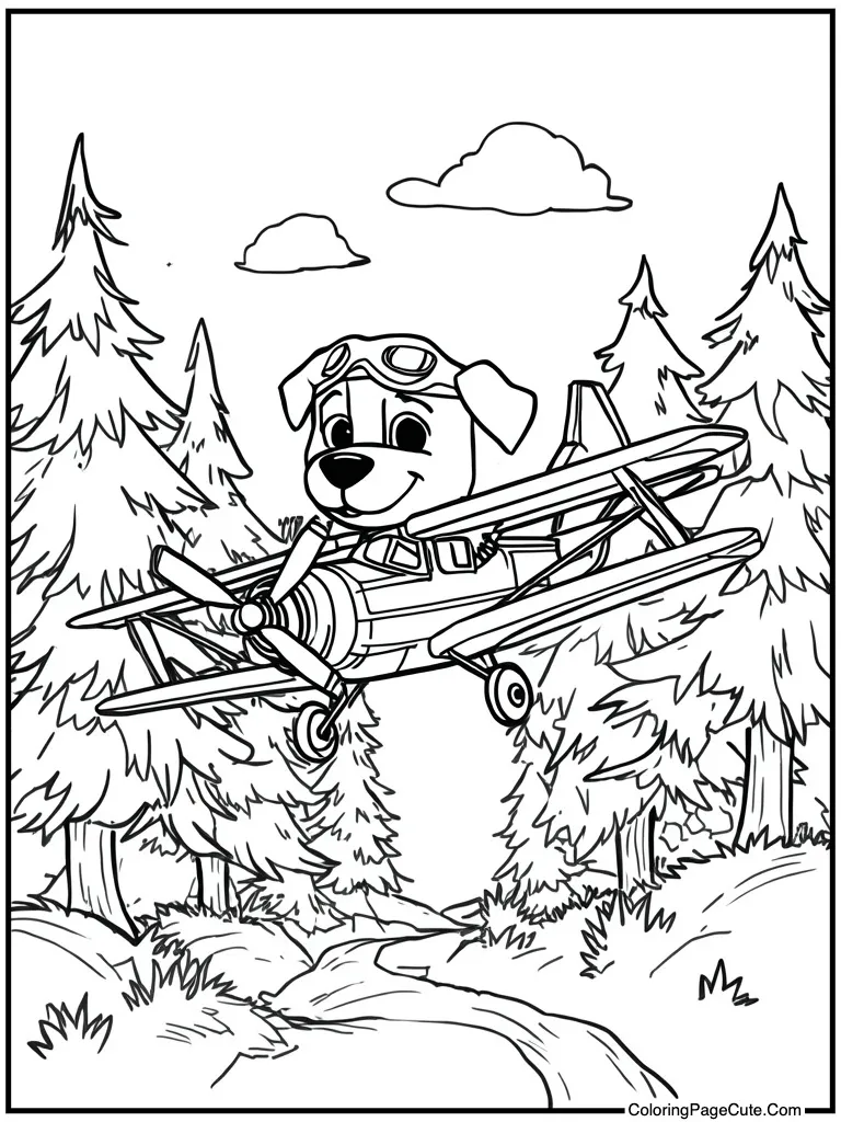 Pilot flying small plane