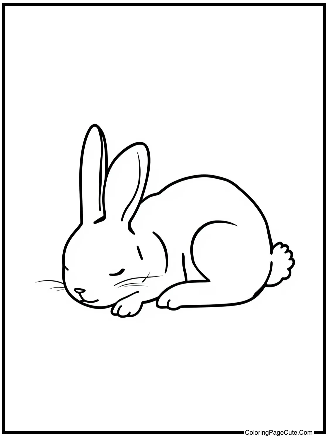of a sleeping bunny