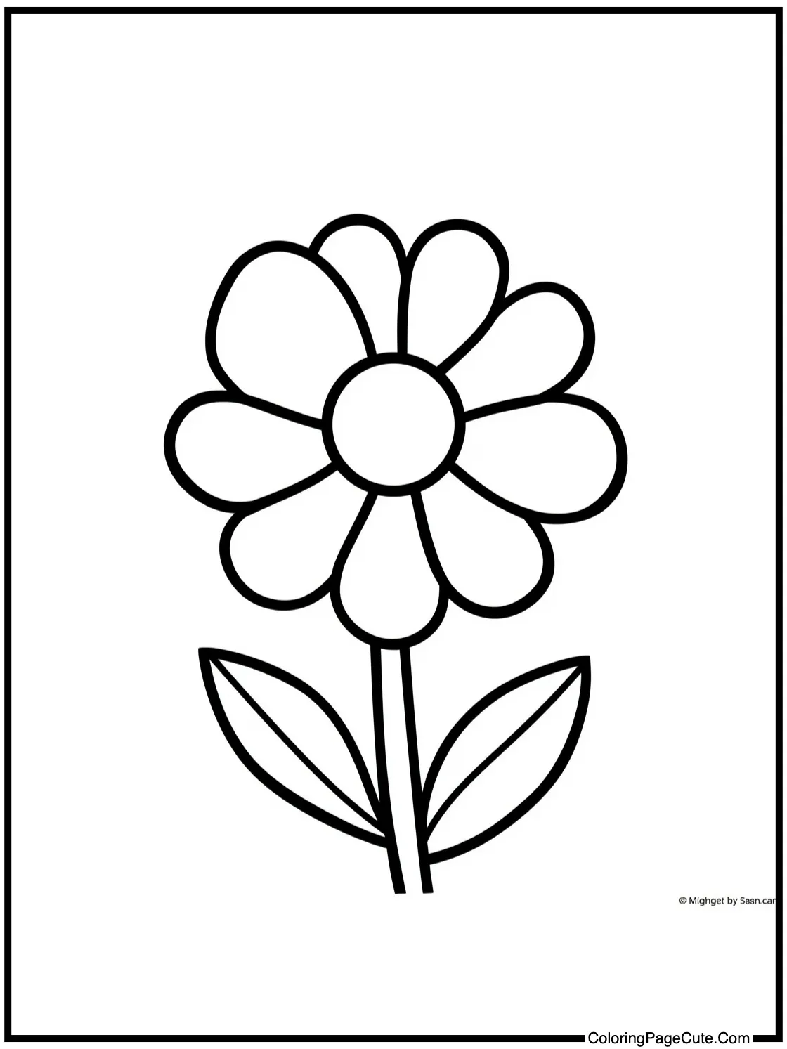 with a beautiful bloom