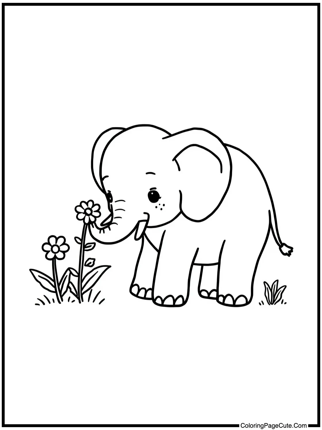 smelling sweet flowers.