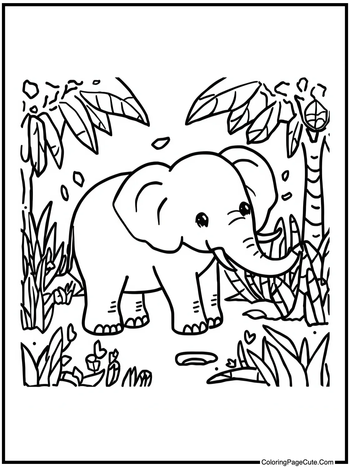 exploring the jungle.