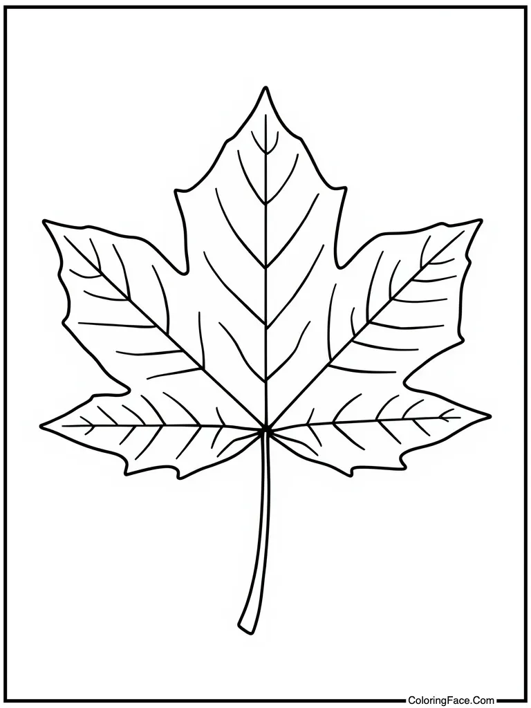 Maple leaf red shape