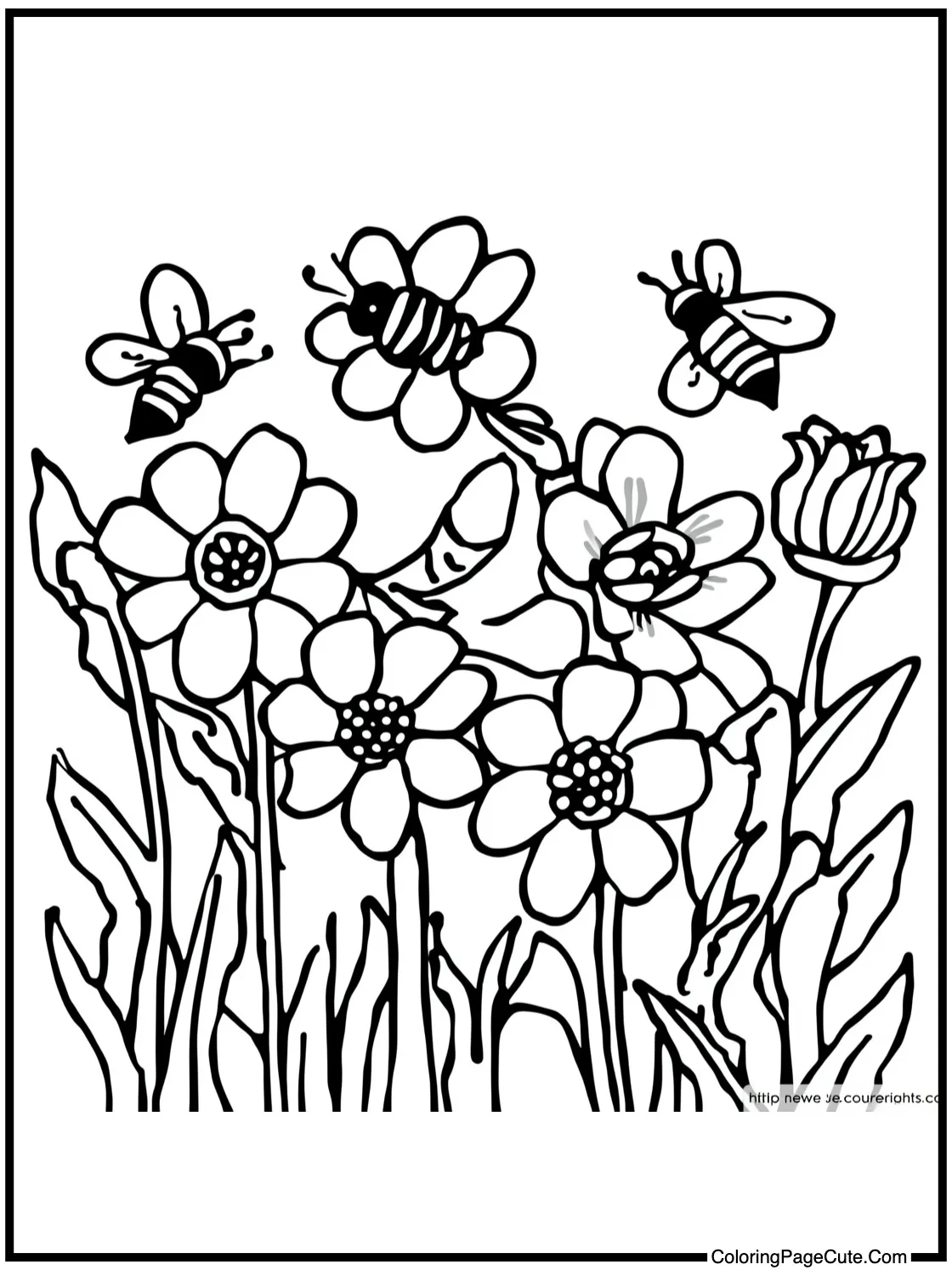 Bees around flowers.