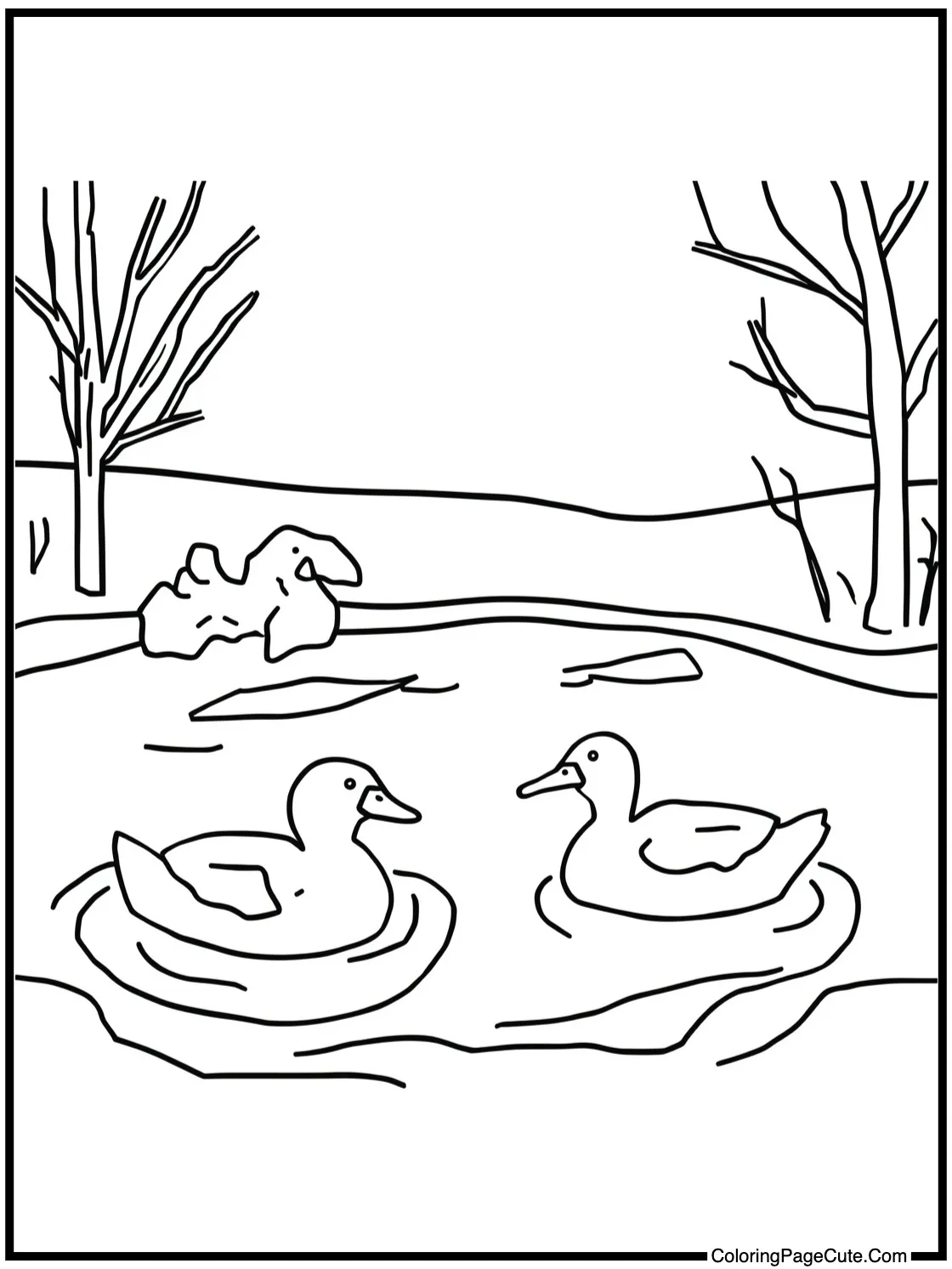 Ducks on frozen pond.