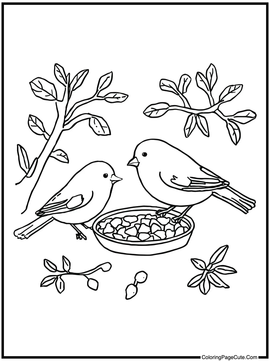 Feeding little birds.