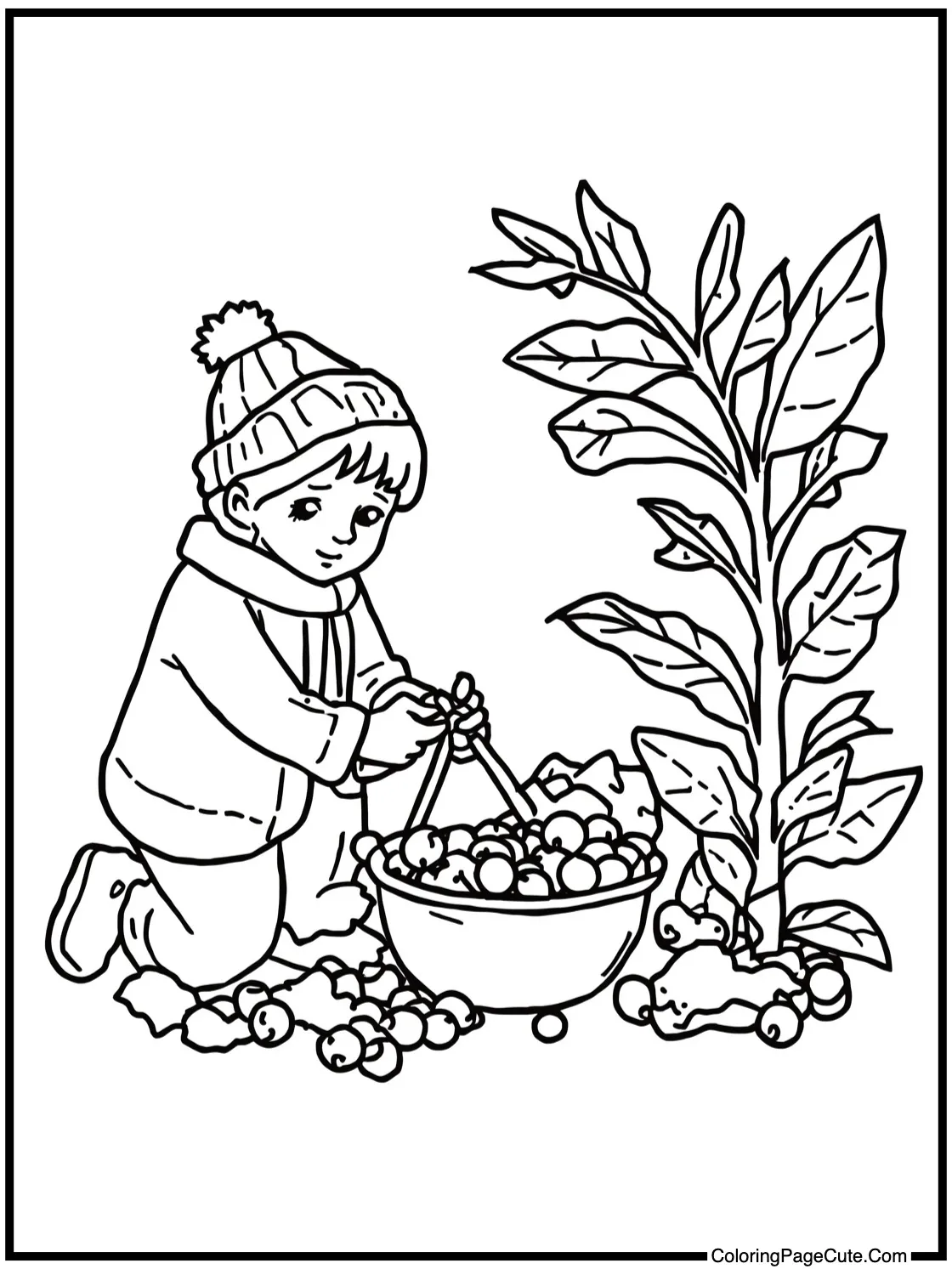 Gathering winter berries.