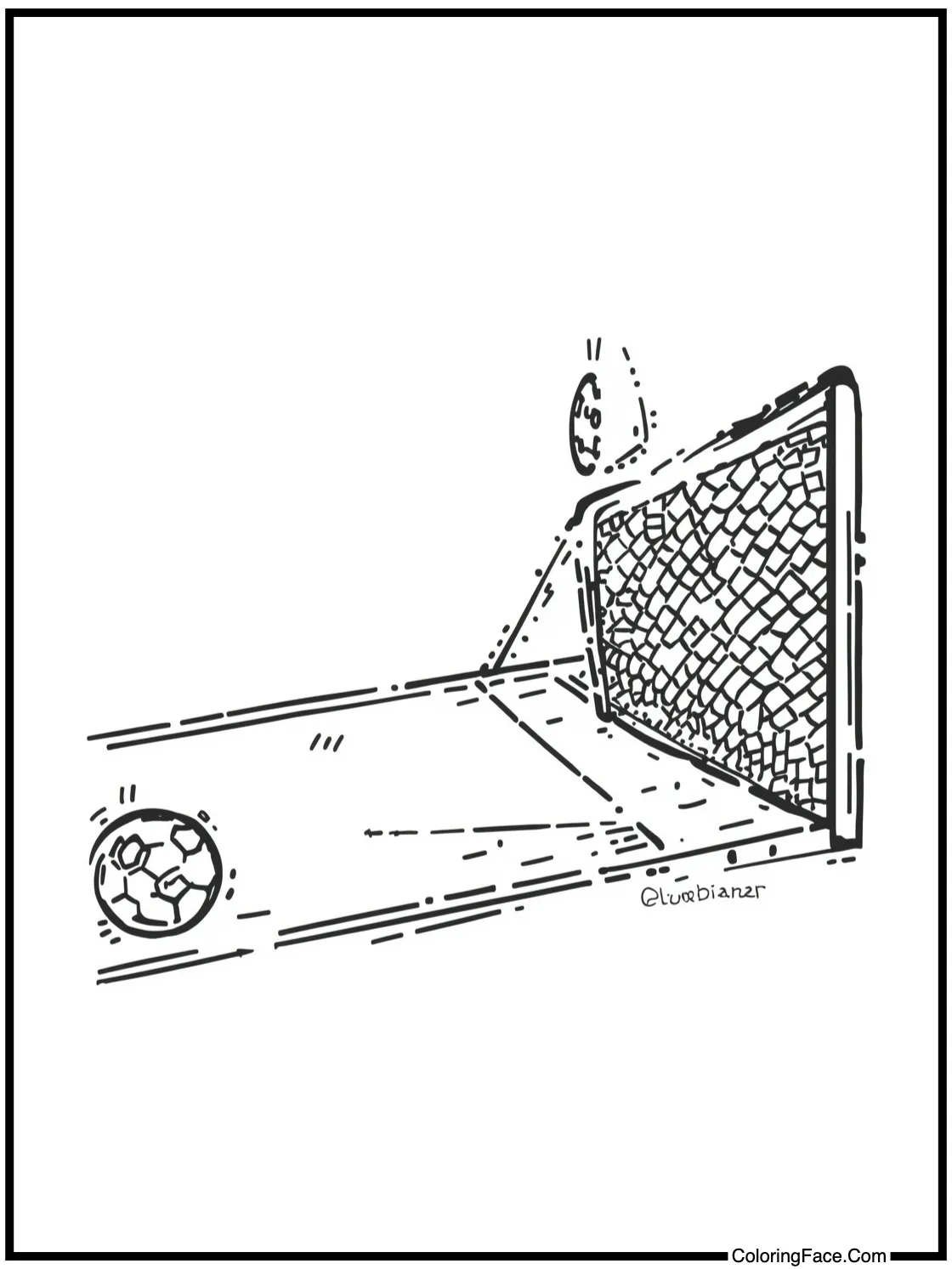 for sports enthusiasts