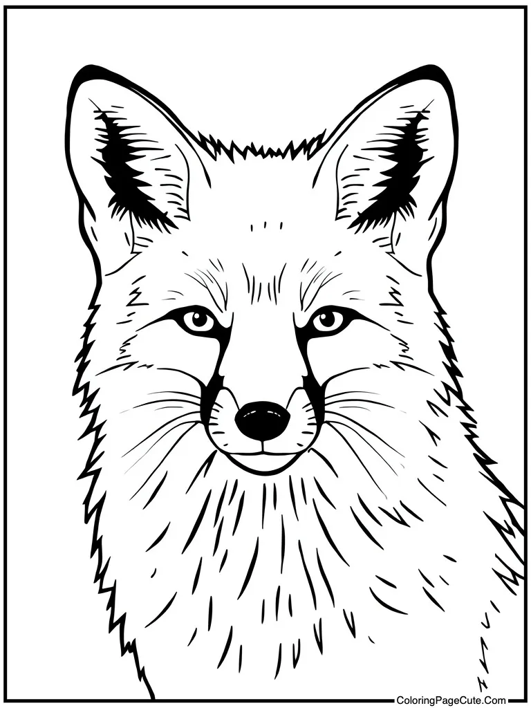 Forest creature close-up