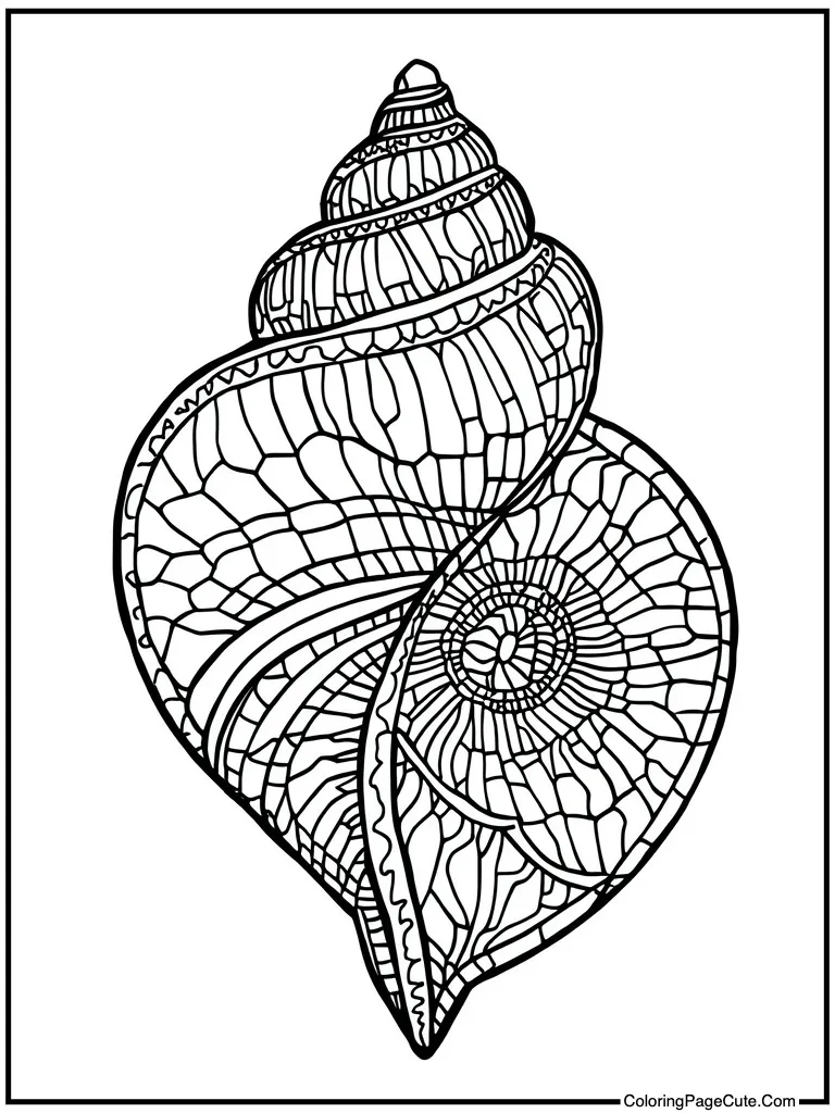Intricate shell illustration